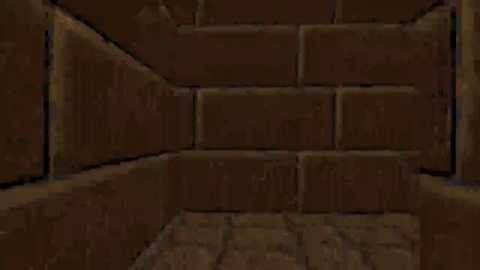 vizdoom.gif